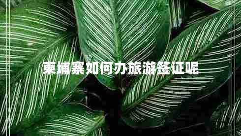 柬埔寨如何辦旅游簽證呢