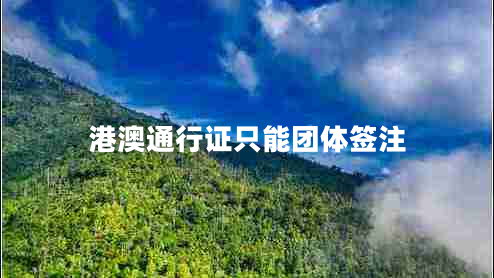 港澳通行證只能團(tuán)體簽注 港澳通行證只能團(tuán)體簽注