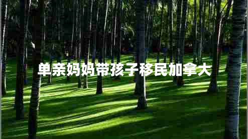 單親媽媽帶孩子移民加拿大