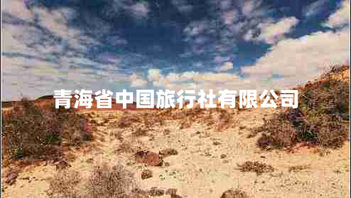 青海省中國旅行社有限公司