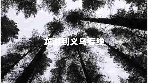 龍游到義烏專線 龍游到義烏專線