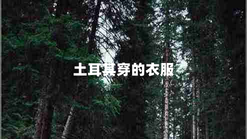 土耳其穿的衣服 土耳其穿的衣服