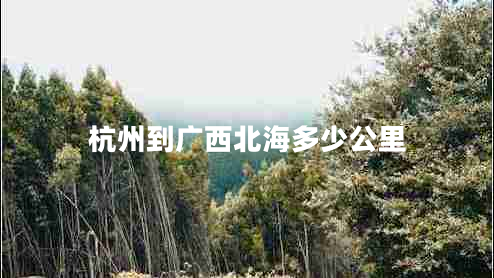 杭州到廣西北海多少公里