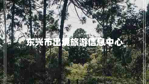 東興市出境旅游信息中心