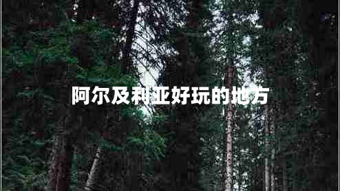 阿爾及利亞好玩的地方