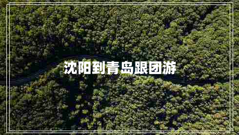 沈陽到青島跟團(tuán)游