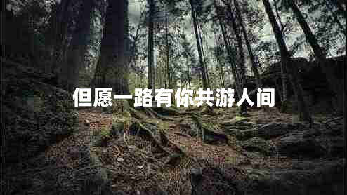 但愿一路有你共游人間