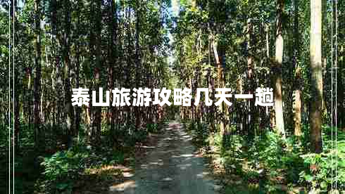 泰山旅游攻略幾天一趟