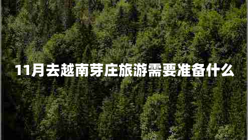 11月去越南芽莊旅游需要準(zhǔn)備什么