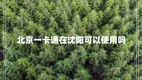 北京一卡通在沈陽可以使用嗎