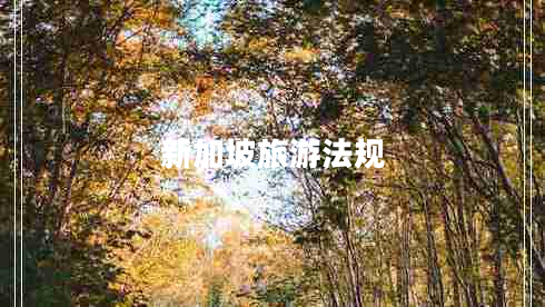 新加坡旅游法規(guī)