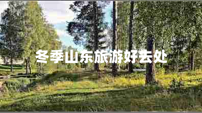 冬季山東旅游好去處