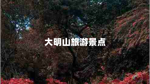 大明山旅游景點(diǎn)