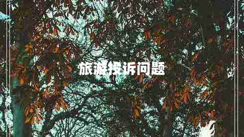 旅游投訴問(wèn)題