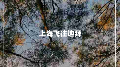 上海飛往迪拜