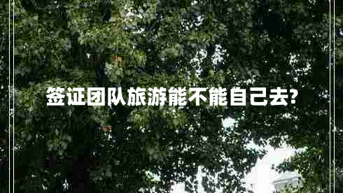 簽證團(tuán)隊(duì)旅游能不能自己去?