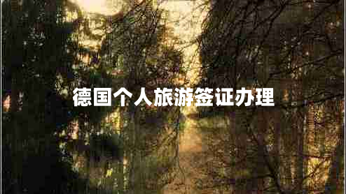 德國個人旅游簽證辦理