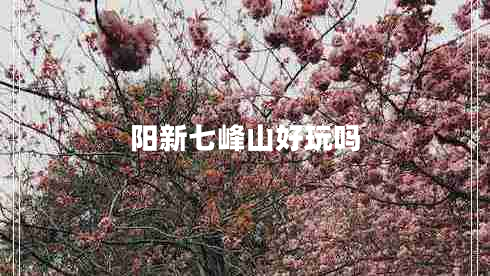 陽新七峰山好玩嗎