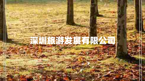 深圳旅游發(fā)展有限公司