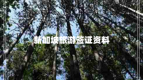 新加坡旅游簽證資料