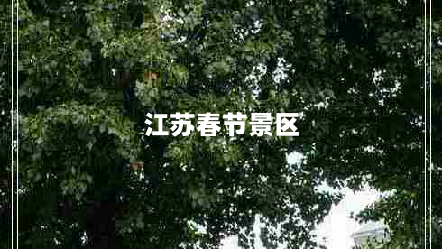 江蘇春節(jié)景區(qū) 江蘇春節(jié)景區(qū)