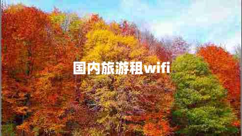國(guó)內(nèi)旅游租wifi