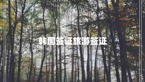 韓國簽證旅游簽證 韓國簽證旅游簽證