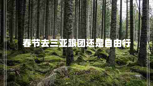 春節(jié)去三亞跟團還是自由行