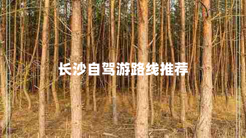 長沙自駕游路線推薦