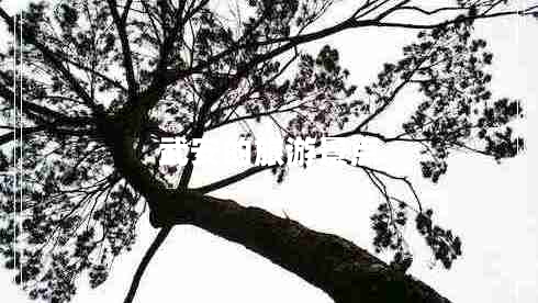 武安的旅游景點(diǎn)