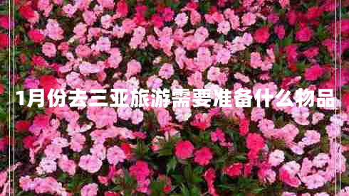 1月份去三亞旅游需要準(zhǔn)備什么物品