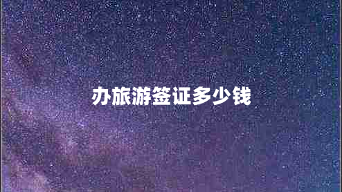 辦旅游簽證多少錢