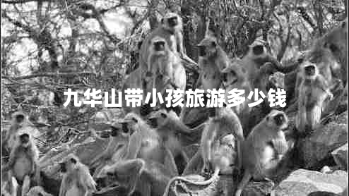 九華山帶小孩旅游多少錢