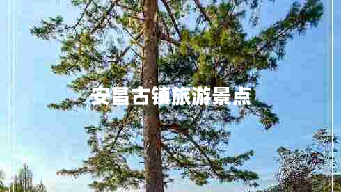 安昌古鎮(zhèn)旅游景點