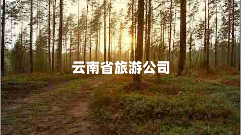 云南省旅游公司 云南省旅游公司