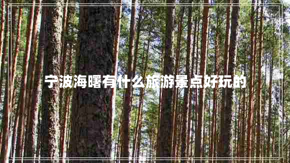 寧波海曙有什么旅游景點(diǎn)好玩的