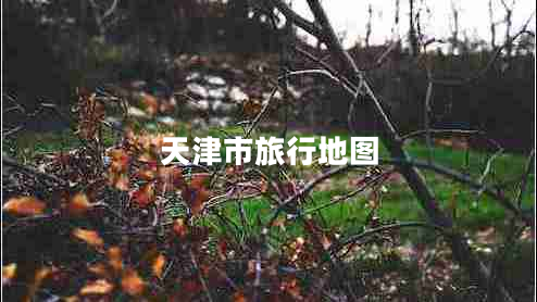 天津市旅行地圖