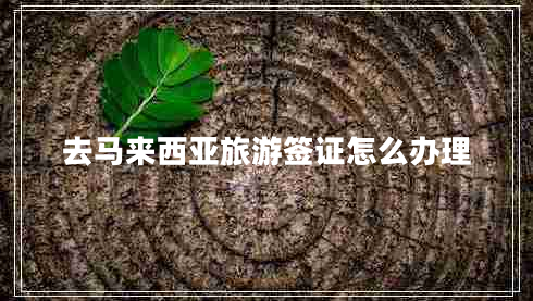 去馬來西亞旅游簽證怎么辦理