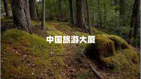 中國(guó)旅游大廈