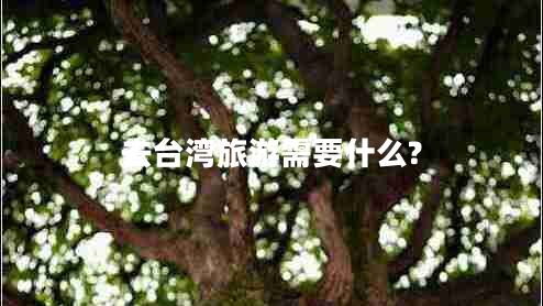 去臺(tái)灣旅游需要什么?