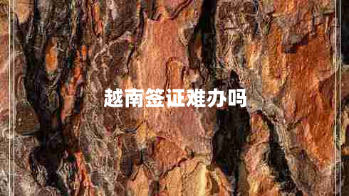 越南簽證難辦嗎