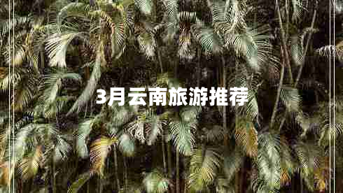 3月云南旅游推薦 3月云南旅游推薦