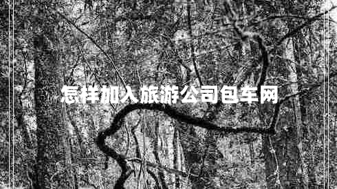怎樣加入旅游公司包車網(wǎng)