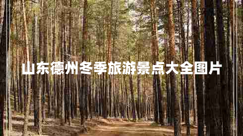 山東德州冬季旅游景點(diǎn)大全圖片 山東德州冬季旅游景點(diǎn)大全圖片
