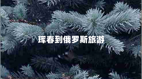 琿春到俄羅斯旅游 琿春到俄羅斯旅游