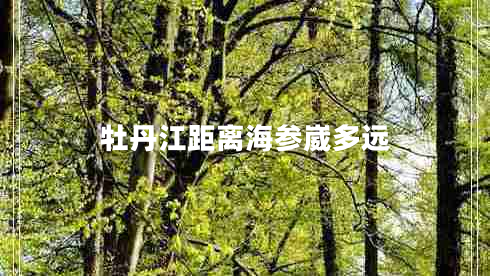 牡丹江距離海參崴多遠(yuǎn) 牡丹江距離海參崴多遠(yuǎn)