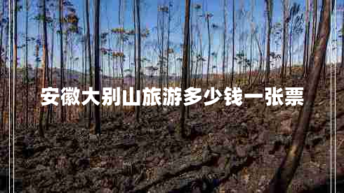安徽大別山旅游多少錢一張票 安徽大別山旅游多少錢一張票