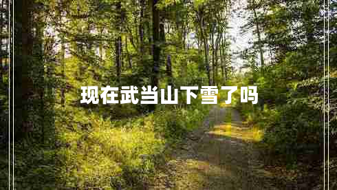 現(xiàn)在武當(dāng)山下雪了嗎