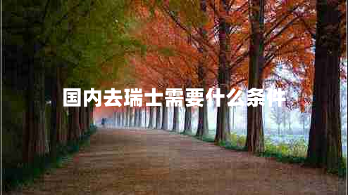 國(guó)內(nèi)去瑞士需要什么條件