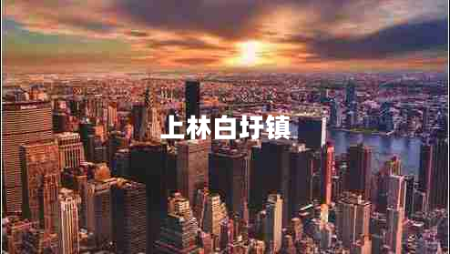 上林白圩鎮(zhèn)